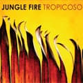 Miniatyrbillede 1 af 2: Jungle Fire - Tropicoso (Pink Edition) (LP)