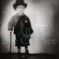 Miniatyrbillede 1 af 2: Joe Henry - All The Eye Can See (LP)