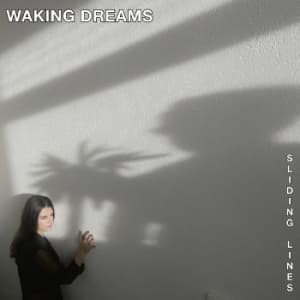 Waking Dreams - Sliding Lines (LP)