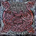Miniatyrbild 1 av 2: Unleashed - Victory (Splatter Vinyl Lp) (LP)