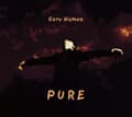 Miniatyrbillede 1 af 2: Gary numan - Pure (Crystal Clear) (LP)