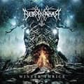 Miniatyrbild 1 av 2: Borknagar - Winter Thrice (Clear Vinyl) (LP)