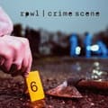 Miniatyrbilde 1 av 2: Rpwl - Crime Scene (Blue Vinyl Lp) (LP)