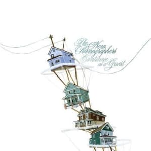 New Pornographers The - Continue As A Guest (LP)