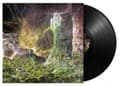 Miniatyrbild 1 av 2: Grave - Into The Grave (Vinyl Lp) (LP)