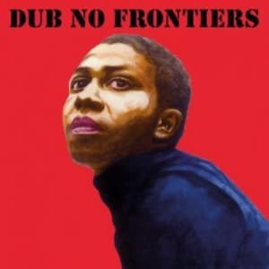 Blandade Artister - Adrian Sherwood Presents Dub No Fro (LP)