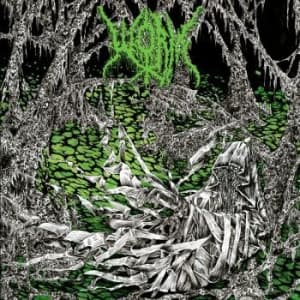 Worm - Gloomlord (Green Vinyl Lp) (LP)