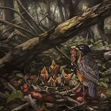 The Acacia Strain - Step Into The Light (LP)