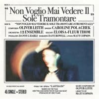 Caroline Polachek - Non Voglio Mai Vedere (LP)
