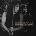 Miniatyrbillede 1 af 2: Whitesnake - Washington State Wipeout (2 Lp Viny (LP)