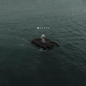 Nf - Hope (Vinyl) (LP)