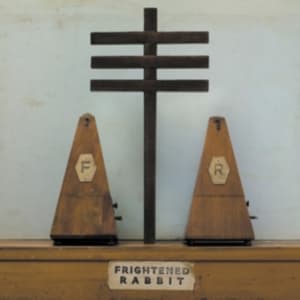 Frightened Rabbit - The Woodpile (Vinylsingle)