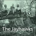 Pikkukuva 1 / 2: Jayhawks - Tomorrow The Green Grass (LP)