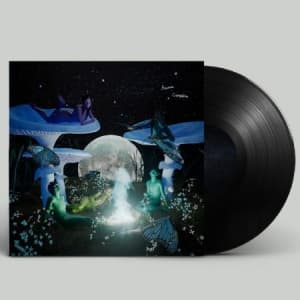 Aasma - Campfire (LP)