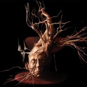 Swan Valley Heights - Terminal Forest (Transparent Red Vi (LP)