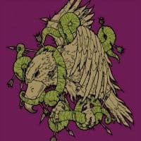 Zozobra - Bird Of Prey (Vinyl Lp) (LP)