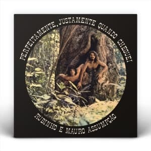 Rubinho E Mauro Assumpoao - Perfeitamente, Justamente Quan (LP)