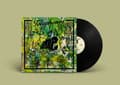 Miniatyrbillede 3 af 4: Telephones - Vibe Telemetry (LP)