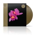 Miniatyrbild 1 av 2: Opeth - Orchid (LP)