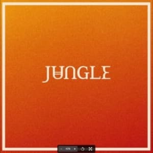 Jungle - Volcano (LP)