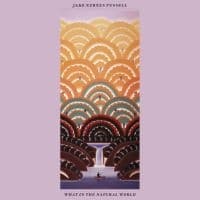 Fussell Jake Xerxes - What In The Natural World (LP)