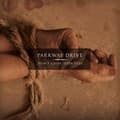 Miniatyrbild 1 av 2: Parkway Drive - Don't Close (Beer Vinyl) (LP)