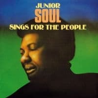 Junior Soul - Sing For The People (Vinyl Lp) (LP)