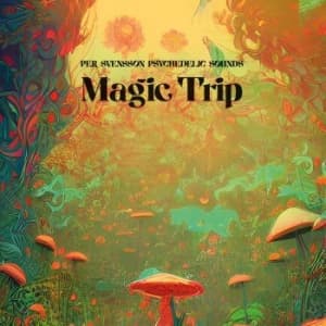 Per Svensson - Magic Trip (LP)