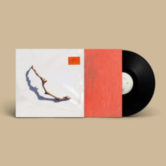 Harvey Pj - I Inside The Old Year Dying (LP)