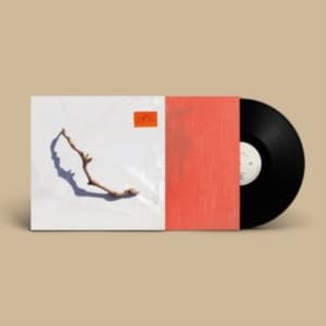 Harvey Pj - I Inside The Old Year Dying (LP)