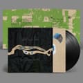 Miniatyrbillede 1 af 2: Animal Collective - Spirit They're Gone, Spirit They've (LP)