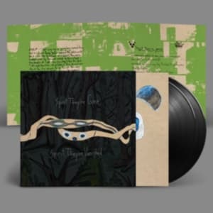 Animal Collective - Spirit They're Gone, Spirit They've (LP)