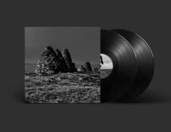 Craven Faults - Standers (LP)