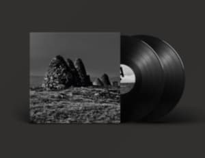 Craven Faults - Standers (LP)