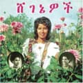 Miniatyrbild 1 av 2: Aselefech Ashine & Getenesh Kebret - Beauties (LP)