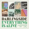 Miniatyrbillede 1 af 2: Darlingside - Everything Is Alive (LP)