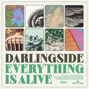 Darlingside - Everything Is Alive (LP)