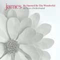 Miniatyrbillede 1 af 2: James - Be Opened By The Wonderful (Vinyl) (LP)