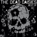 Miniatyrbild 1 av 2: Dead Daisies The - Best Of (LP)