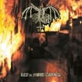 Pikkukuva 1 / 2: Pest - Rest In Morbid Darkness (Colored Vi (LP)
