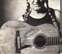 Willie Nelson - The Great Divide (LP)