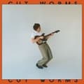 Miniatyrbillede 1 af 2: Cut Worms - Cut Worms (LP)