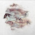 Miniatyrbillede 1 af 2: Meyvant Junius - Floating Harmonies (LP)