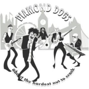 Diamond Dogs - About The Hardest Nut To Crack (Bla (LP)