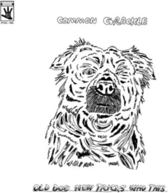 Common Grackle - Old Dog New Tricks Who This (LP)