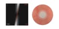 Miniatyrbillede 2 af 2: Strokes The - First Impressions Of Earth (LP)