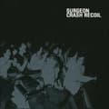 Miniatyrbild 1 av 2: Surgeon - Crash Recoil (LP)