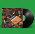 Miniatyrbillede 2 af 2: Animal Collective - Isn't It Now? (LP)