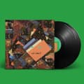 Miniatyrbillede 1 af 2: Animal Collective - Isn't It Now? (LP)