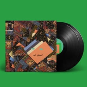 Animal Collective - Isn't It Now? (LP)